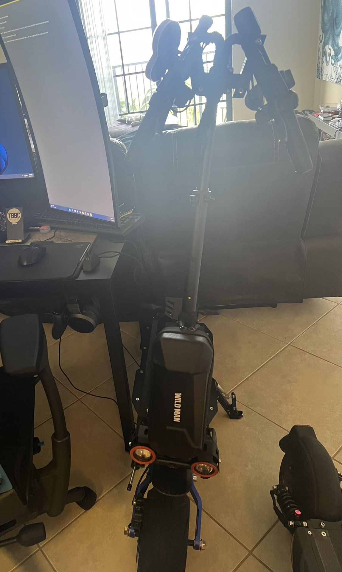 Electric Scooter Laotie ES-19
