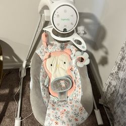 Infant Swing