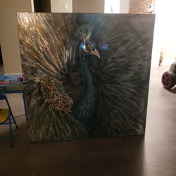 Huge Peacock Picture Frame & Blue Silver Picture Frame 