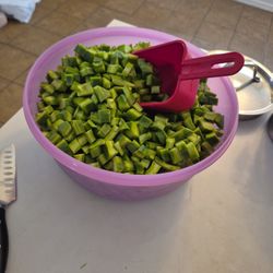 Nopalitos Recién Cortados