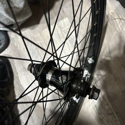 Sunday 20’ with clutch v2 freecoaster RHD