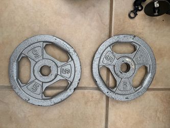 2 5 lb plates
