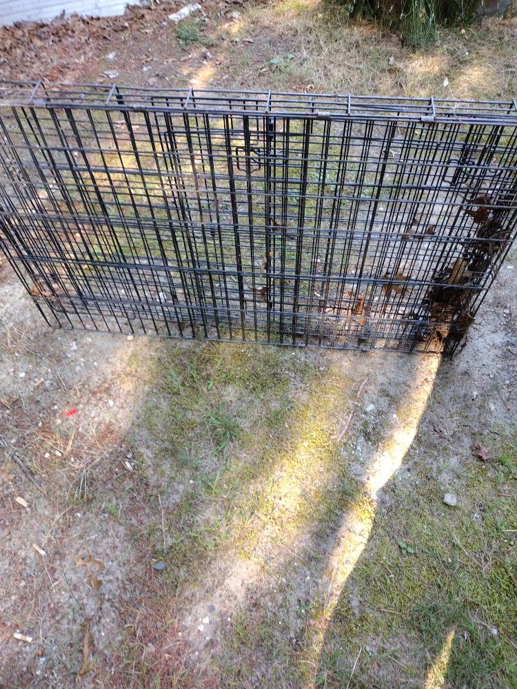 Dog Crate