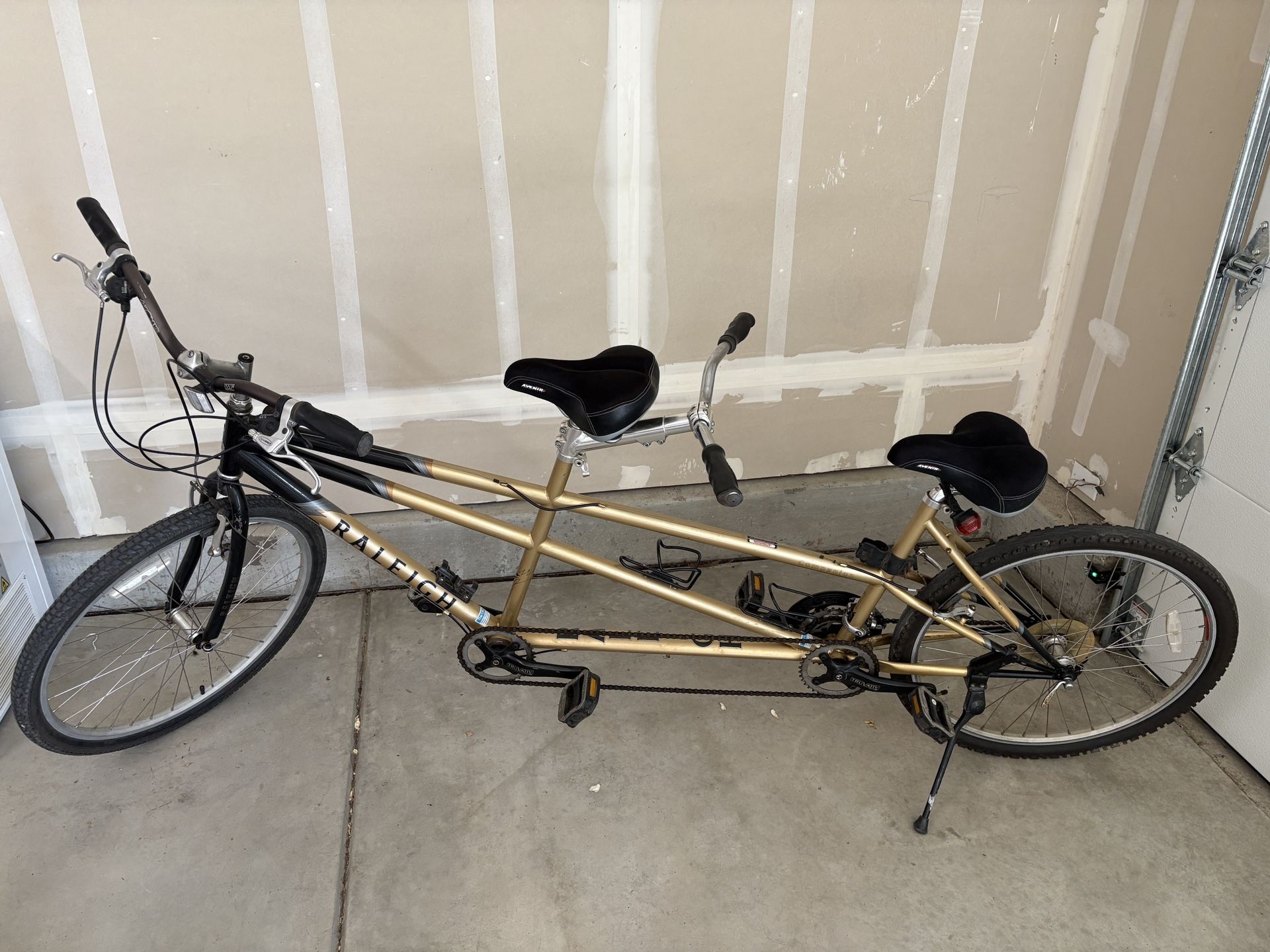 Raleigh Tandem Bike