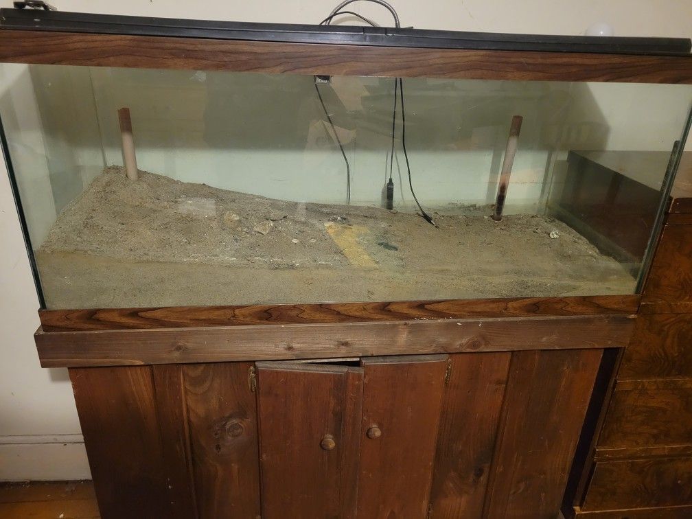 Terrarium