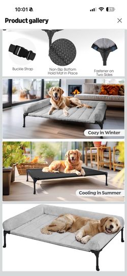 Dog bed