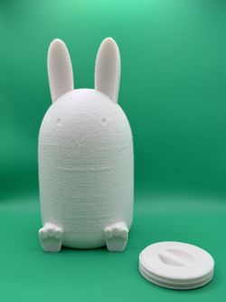 Super Cute Money Saver(Homemade)