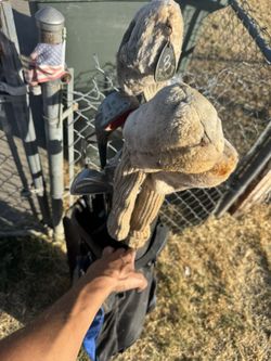 Set A Golf Clubs Asking 75 or best offer