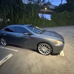 Nissan Maxima 2010 SV