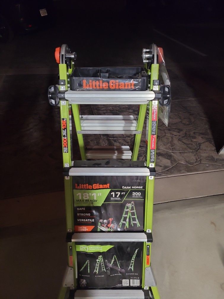 Little GIANT DARK HORSE 17FT 300 LB 