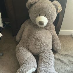 Giant Bear 