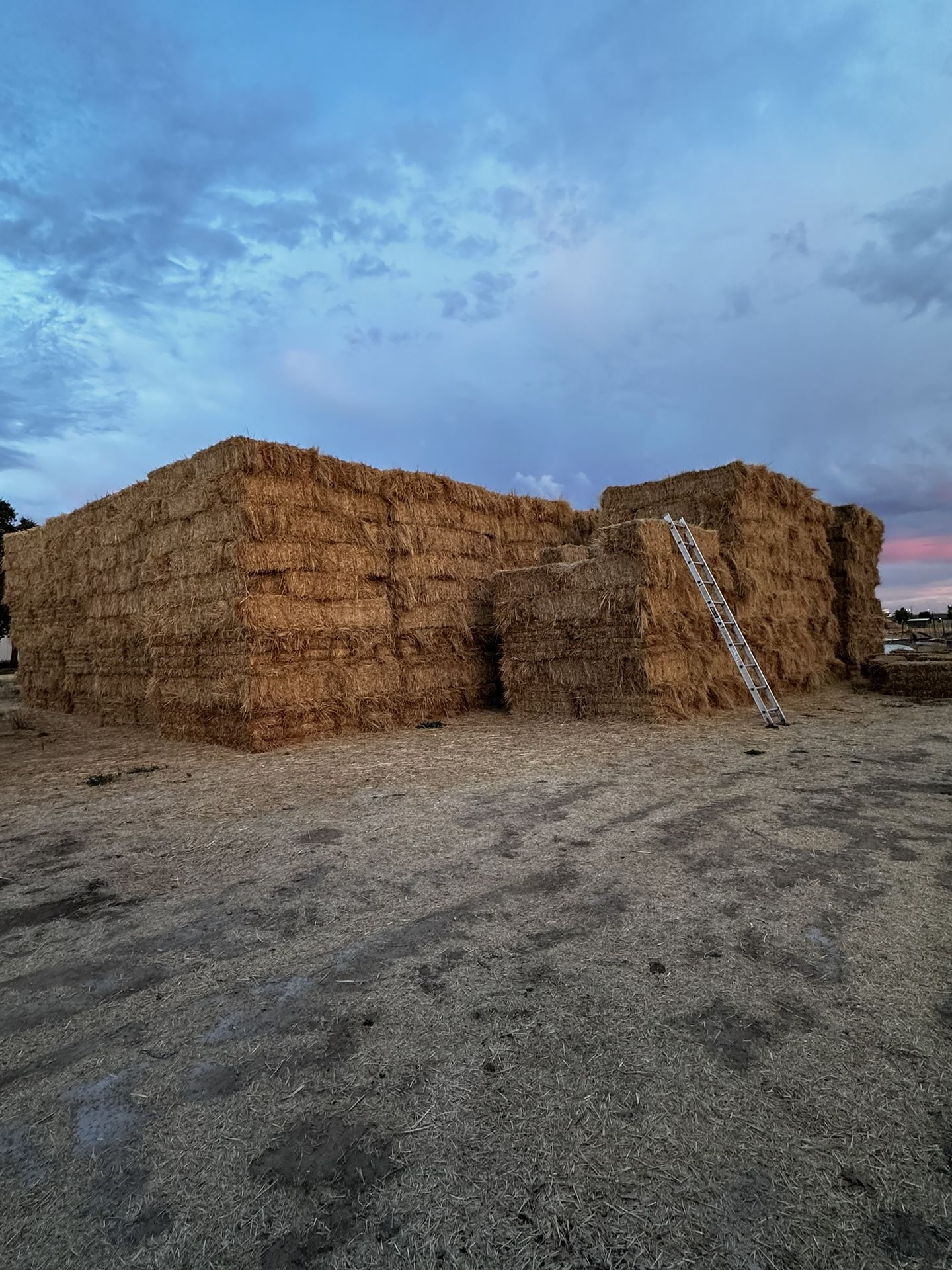 Hay