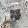 Drakeo And Rocky
