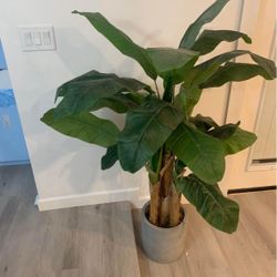 Artificial plant 4 ft with pot 5 ft