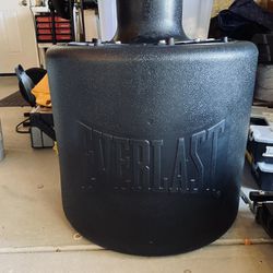 Everlast Punching Bag