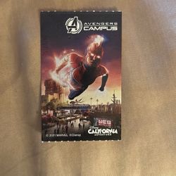 1- disneyland Ticket