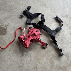 Dog leash and dog harness