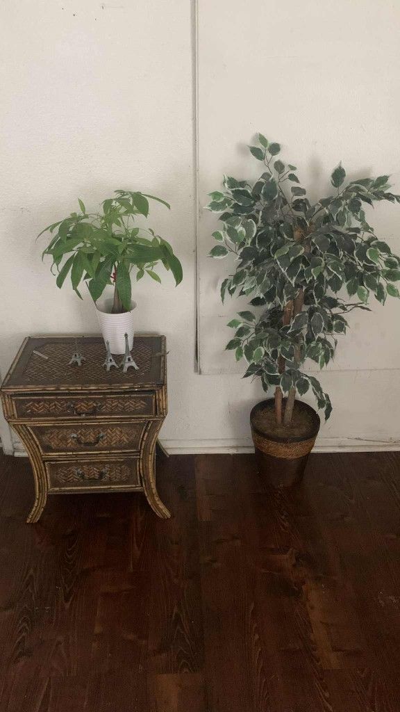 Side Table Plant Set Both