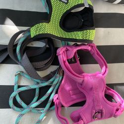 2 small dog harnesses & 2 leashes