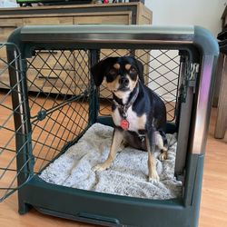 Diggs Dog Crate