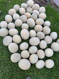 Cantaloupe Melons