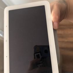 Google Home Nest Hub 
