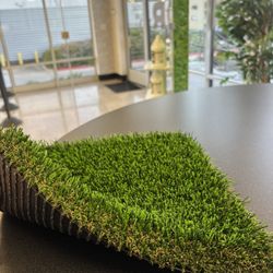 Turf/Zacate on sale $1.69/sqf