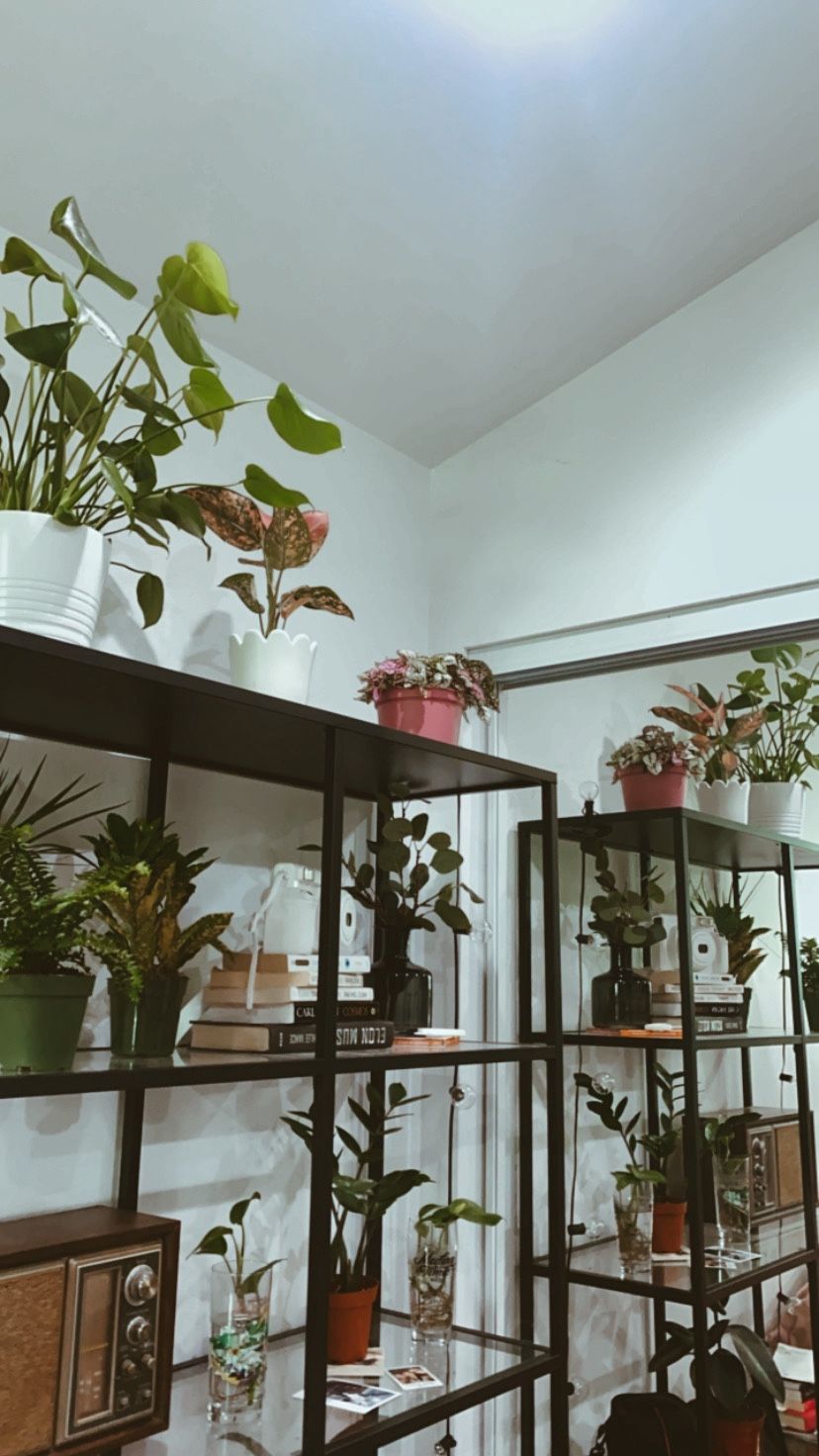 Ikea Glass Shelf
