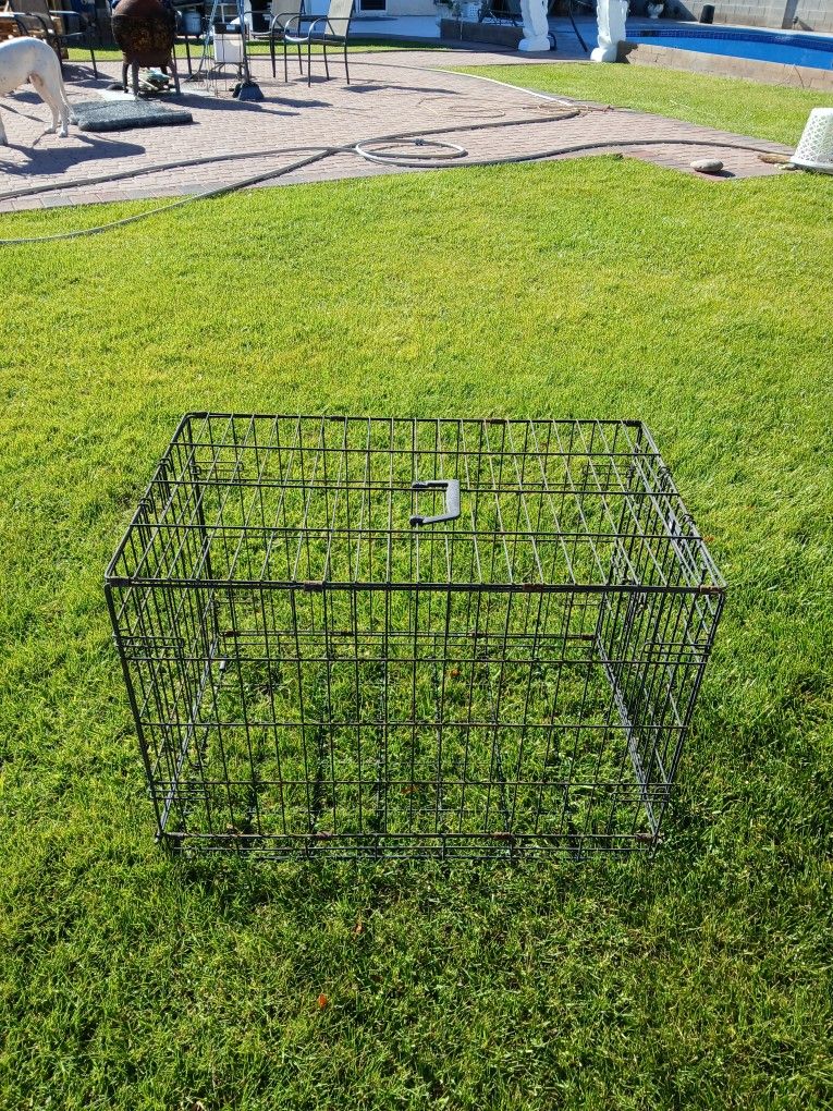 Dog Cage