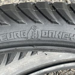 CURB MONKEY 20”. X.  2.30“  EASTERN BIKES 