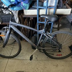 Infinity 7 Speed bike (from Costco)