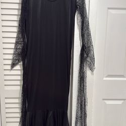 Women's Rubies Addams Family Morticia Costume