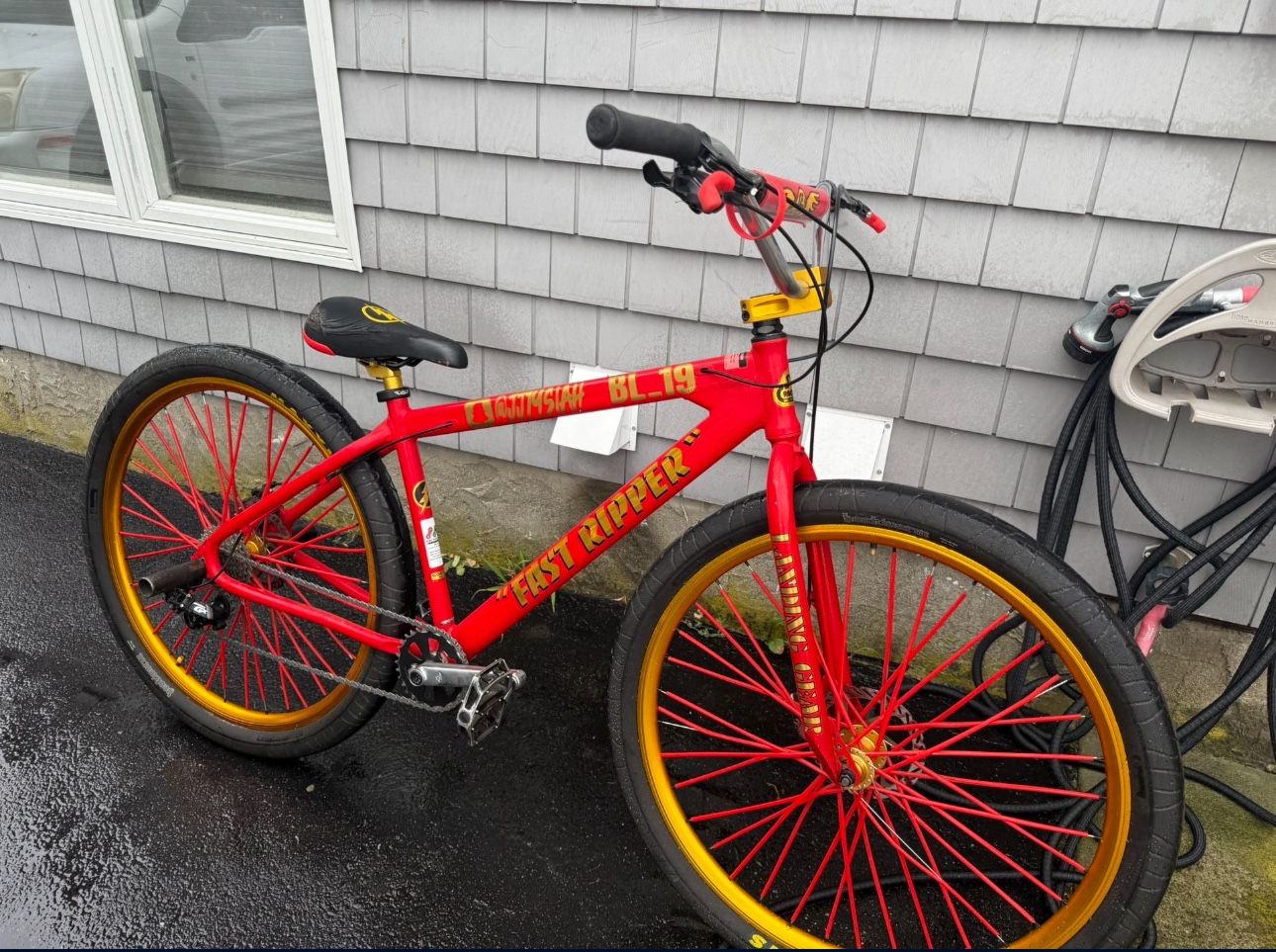 2019 Fast Ripper