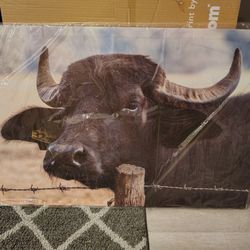 Wall Art Tagged Bull