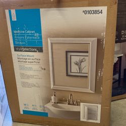 Style Selections Medicine Cabinet 22.5inx 27.5inx4in