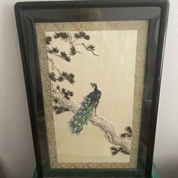 Vintage Framed Hand Made Peacock With Sea Shells & Seeds