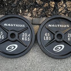Weight Plates (45lbs x 2)