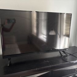 42" Vizio TV