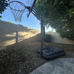 Pool Basketball Hoop 