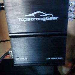 Subwoofer Amplifiers 