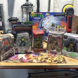 Teenage mutant ninja turtles