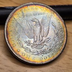 Toned Morgan Dollar