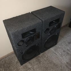 DJ Monitor Speaker Sub