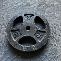 Single 25 lbs Standard Weight Plate… Home Gym Fitness… $20 Price is Firm!