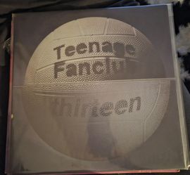 Teenage fanclub thirteen.
Vinyl music