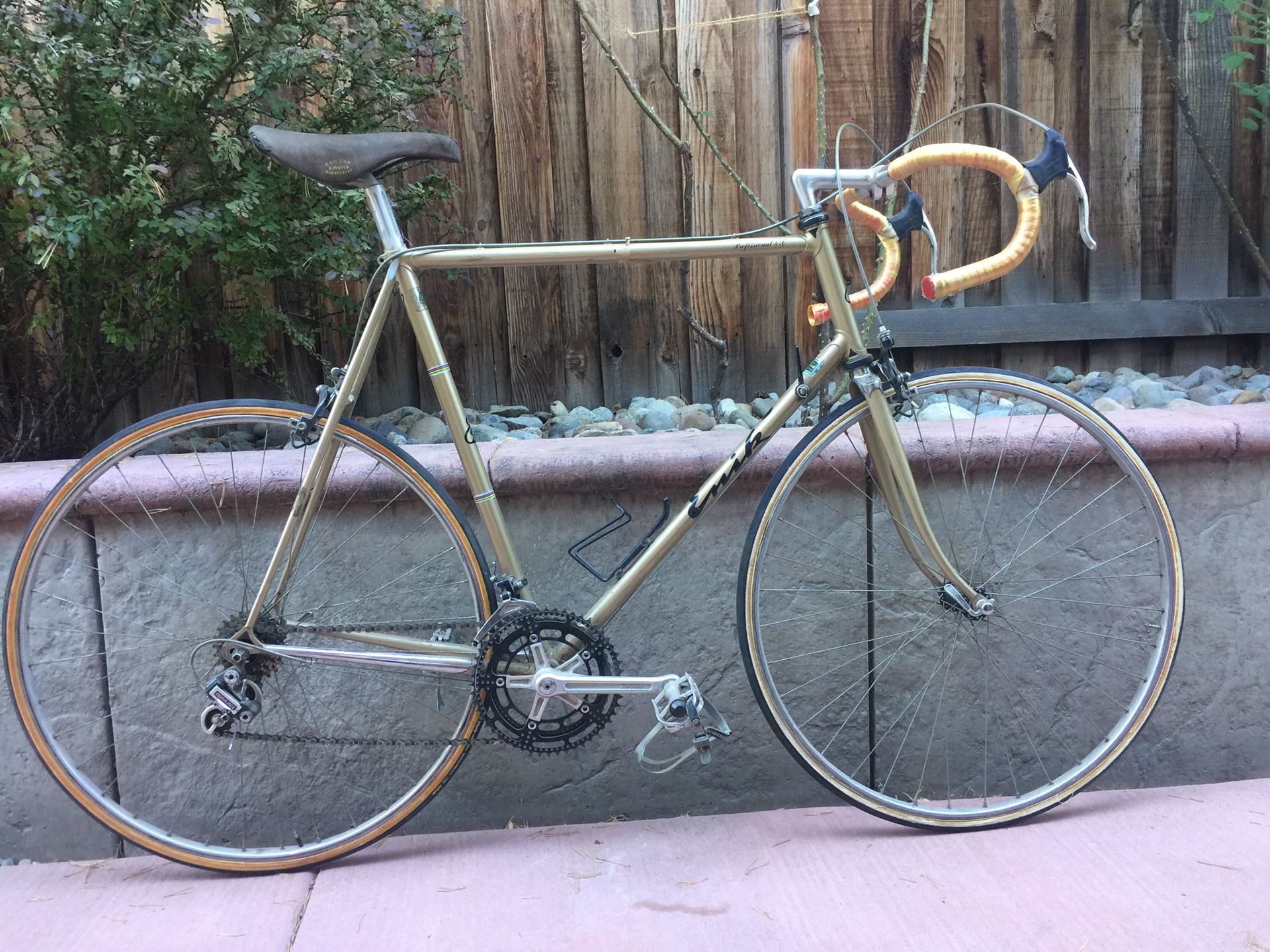 Vintage Enik Road Bike