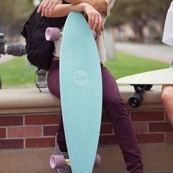 Penny longboard skateboard