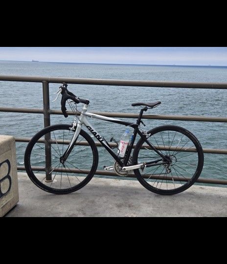 Giant Speed Bike