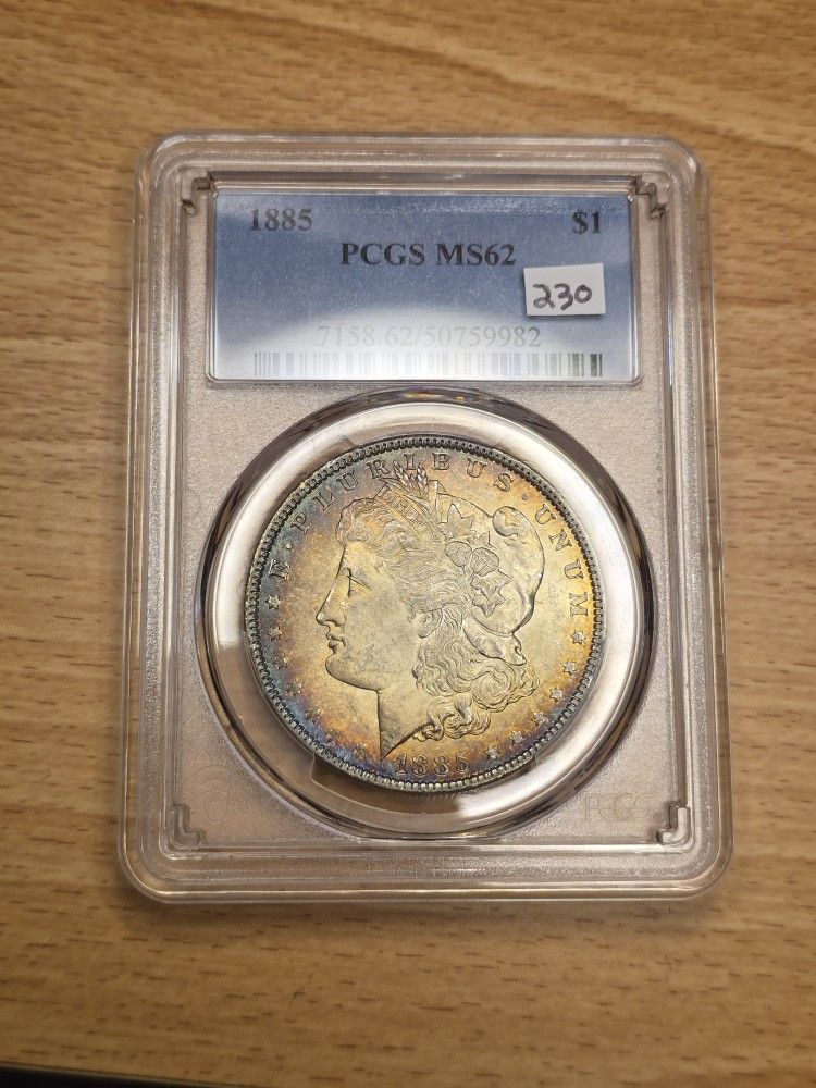 Toned Morgan Dollar