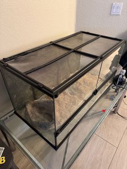 Large Reptile tank front loading or top loading. Need gone asking $130